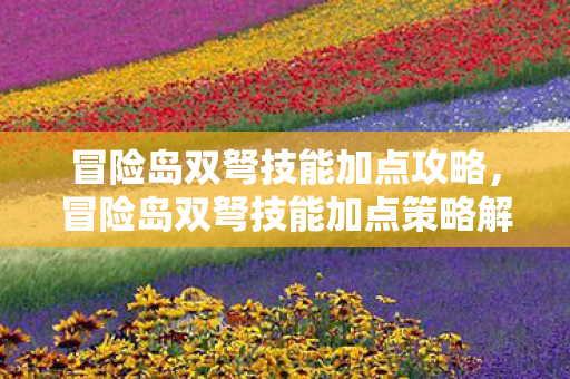 冒险岛双弩技能加点攻略,冒险岛双弩技能加点策略解析 冒险岛双弩技能加点攻略,冒险岛双弩技能加点策略解析