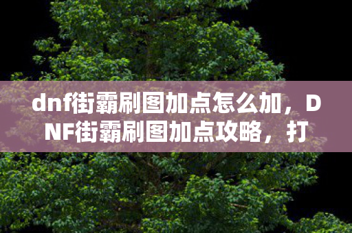 dnf街霸刷图加点怎么加,DNF街霸刷图加点攻略,打造高效战斗体验 dnf街霸刷图加点怎么加,DNF街霸刷图加点攻略,打造高效战斗体验