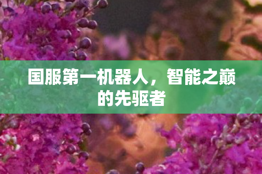 国服第一机器人,智能之巅的先驱者 国服第一机器人,智能之巅的先驱者