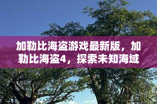 加勒比海盗游戏最新版,加勒比海盗4,探索未知海域的冒险之旅 加勒比海盗游戏最新版,加勒比海盗4,探索未知海域的冒险之旅