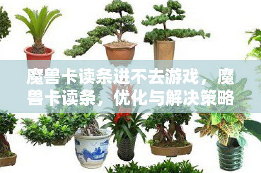 魔兽卡读条进不去游戏，魔兽卡读条，优化与解决策略
