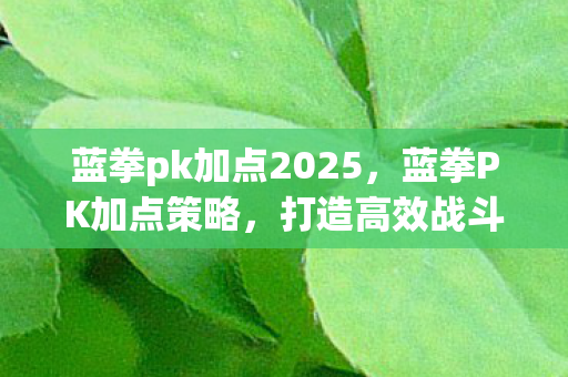 蓝拳pk加点2025,蓝拳PK加点策略,打造高效战斗体系 蓝拳pk加点2025,蓝拳PK加点策略,打造高效战斗体系