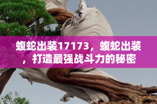 蝮蛇出装17173,蝮蛇出装,打造最强战斗力的秘密 蝮蛇出装17173,蝮蛇出装,打造最强战斗力的秘密