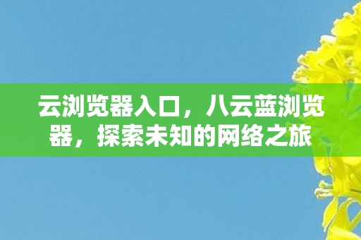 云浏览器入口,八云蓝浏览器,探索未知的网络之旅 云浏览器入口,八云蓝浏览器,探索未知的网络之旅