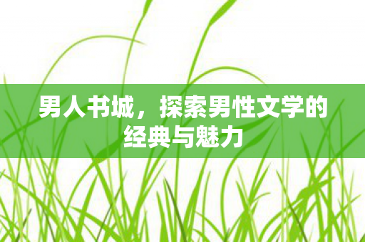 男人书城,探索男性文学的经典与魅力 男人书城,探索男性文学的经典与魅力