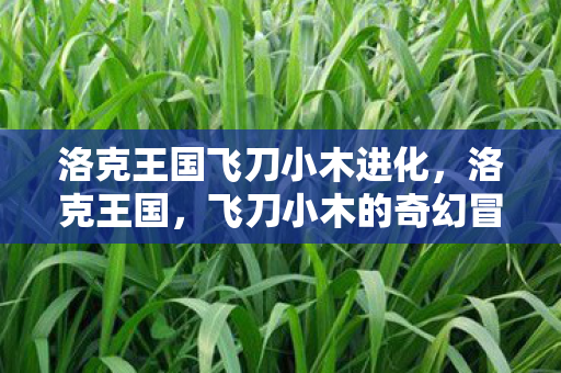 洛克王国飞刀小木进化,洛克王国,飞刀小木的奇幻冒险 洛克王国飞刀小木进化,洛克王国,飞刀小木的奇幻冒险