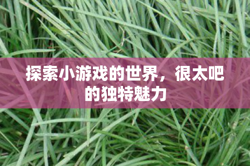 探索小游戏的世界，很太吧的独特魅力