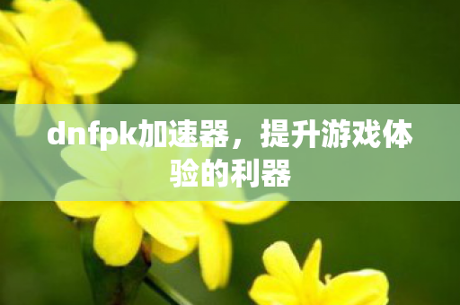 dnfpk加速器,提升游戏体验的利器 dnfpk加速器,提升游戏体验的利器