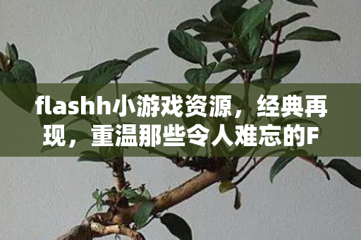 flashh小游戏资源,经典再现,重温那些令人难忘的Flash H小游戏 flashh小游戏资源,经典再现,重温那些令人难忘的Flash H小游戏