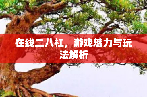 在线二八杠,游戏魅力与玩法解析 在线二八杠,游戏魅力与玩法解析