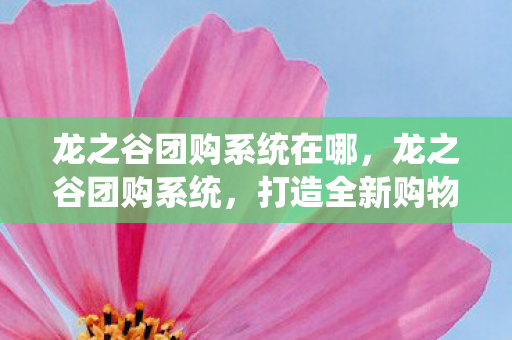 龙之谷团购系统在哪，龙之谷团购系统，打造全新购物体验，尽享优惠与便利