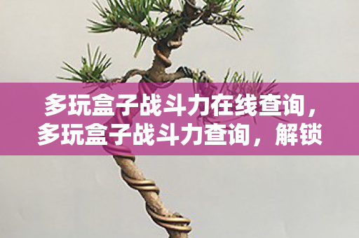 多玩盒子战斗力在线查询，多玩盒子战斗力查询，解锁游戏战力新高度