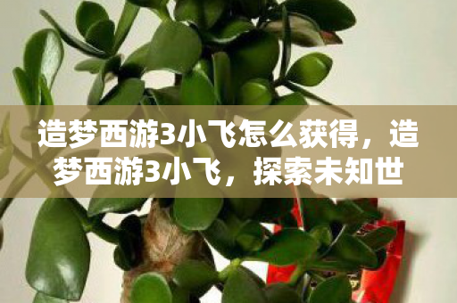造梦西游3小飞怎么获得，造梦西游3小飞，探索未知世界的奇妙之旅