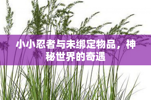 小小忍者与未绑定物品,神秘世界的奇遇 小小忍者与未绑定物品,神秘世界的奇遇