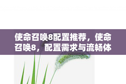 使命召唤8配置推荐,使命召唤8,配置需求与流畅体验 使命召唤8配置推荐,使命召唤8,配置需求与流畅体验