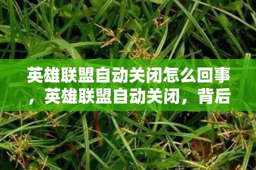 英雄联盟自动关闭怎么回事,英雄联盟自动关闭,背后的原因与玩家应对策略 英雄联盟自动关闭怎么回事,英雄联盟自动关闭,背后的原因与玩家应对策略
