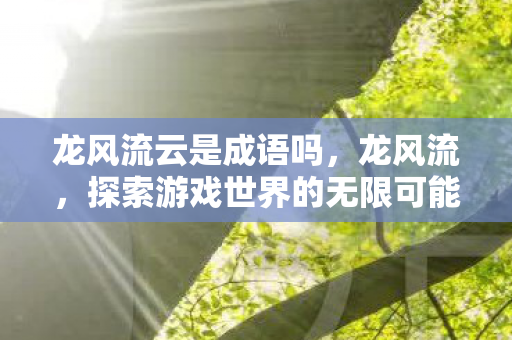龙风流云是成语吗，龙风流，探索游戏世界的无限可能