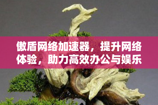 傲盾网络加速器,提升网络体验,助力高效办公与娱乐 傲盾网络加速器,提升网络体验,助力高效办公与娱乐