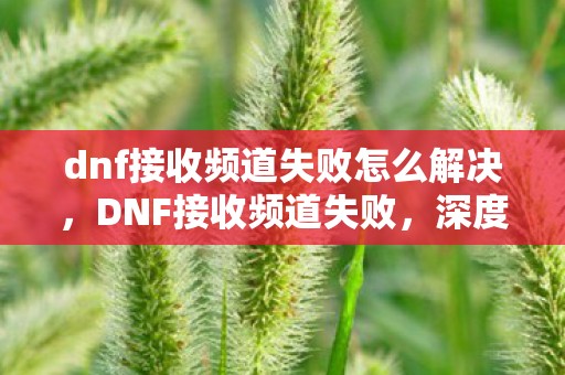 dnf接收频道失败怎么解决,DNF接收频道失败,深度解析与解决方案 dnf接收频道失败怎么解决,DNF接收频道失败,深度解析与解决方案