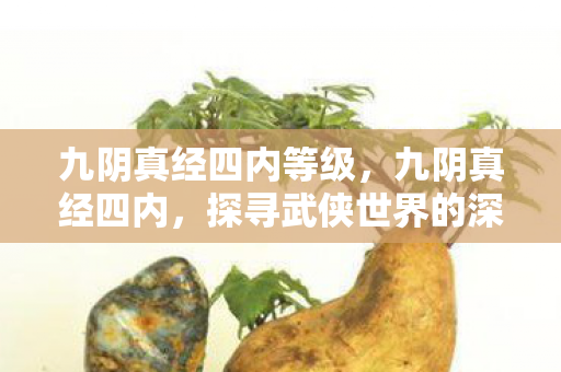 九阴真经四内等级，九阴真经四内，探寻武侠世界的深层奥秘
