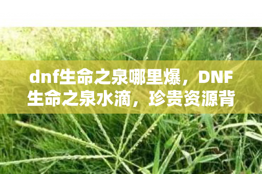 dnf生命之泉哪里爆,DNF生命之泉水滴,珍贵资源背后的故事 dnf生命之泉哪里爆,DNF生命之泉水滴,珍贵资源背后的故事