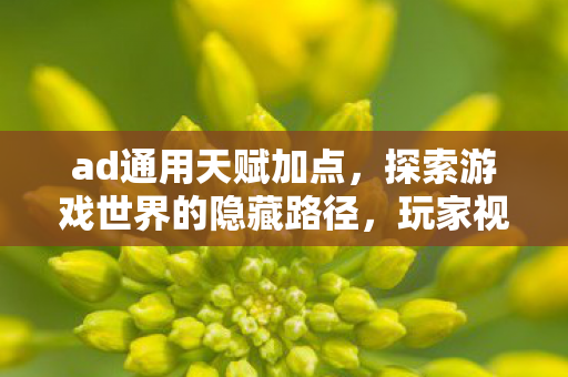 ad通用天赋加点，探索游戏世界的隐藏路径，玩家视角下的加点图解析