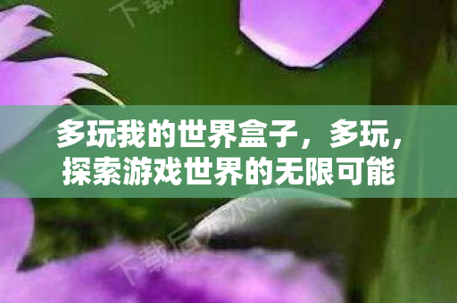 多玩我的世界盒子,多玩,探索游戏世界的无限可能 多玩我的世界盒子,多玩,探索游戏世界的无限可能