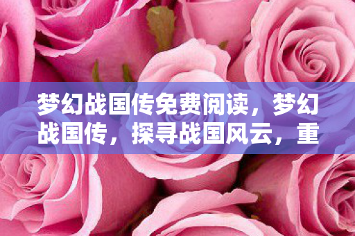 梦幻战国传免费阅读,梦幻战国传,探寻战国风云,重塑历史传奇 梦幻战国传免费阅读,梦幻战国传,探寻战国风云,重塑历史传奇