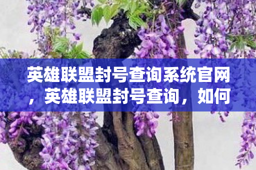 英雄联盟封号查询系统官网,英雄联盟封号查询,如何有效查询及处理账号封禁问题 英雄联盟封号查询系统官网,英雄联盟封号查询,如何有效查询及处理账号封禁问题