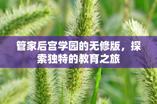 管家后宫学园的无修版,探索独特的教育之旅 管家后宫学园的无修版,探索独特的教育之旅