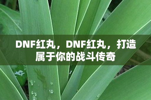 DNF红丸,DNF红丸,打造属于你的战斗传奇 DNF红丸,DNF红丸,打造属于你的战斗传奇