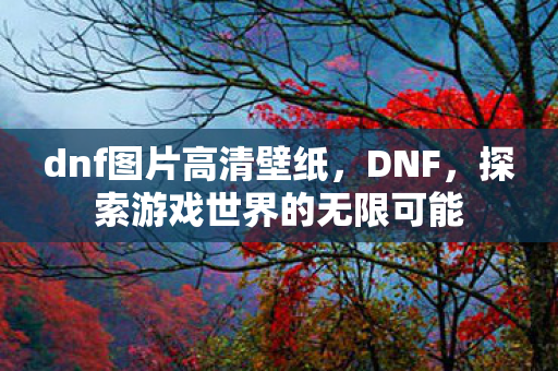 dnf图片高清壁纸，DNF，探索游戏世界的无限可能