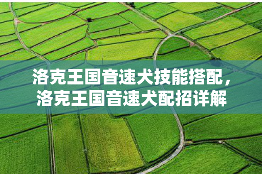 洛克王国音速犬技能搭配,洛克王国音速犬配招详解 洛克王国音速犬技能搭配,洛克王国音速犬配招详解