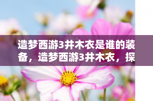 造梦西游3井木衣是谁的装备,造梦西游3井木衣,探寻古老神话的奇幻之旅 造梦西游3井木衣是谁的装备,造梦西游3井木衣,探寻古老神话的奇幻之旅