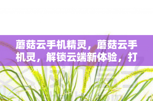 蘑菇云手机精灵,蘑菇云手机灵,解锁云端新体验,打造高效移动办公神器 蘑菇云手机精灵,蘑菇云手机灵,解锁云端新体验,打造高效移动办公神器