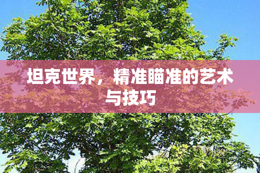 坦克世界,精准瞄准的艺术与技巧 坦克世界,精准瞄准的艺术与技巧