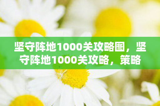 坚守阵地1000关攻略图,坚守阵地1000关攻略,策略与技巧的全面解析 坚守阵地1000关攻略图,坚守阵地1000关攻略,策略与技巧的全面解析