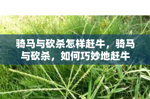 骑马与砍杀怎样赶牛，骑马与砍杀，如何巧妙地赶牛