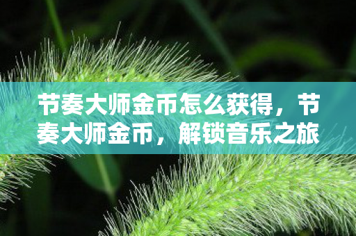 节奏大师金币怎么获得,节奏大师金币,解锁音乐之旅的钥匙 节奏大师金币怎么获得,节奏大师金币,解锁音乐之旅的钥匙