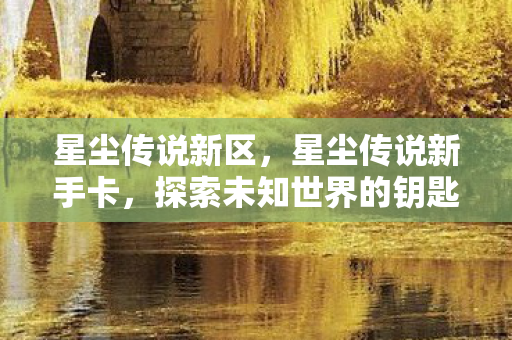 星尘传说新区，星尘传说新手卡，探索未知世界的钥匙
