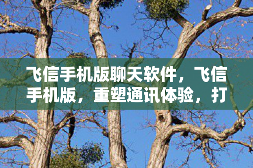 飞信手机版聊天软件,飞信手机版,重塑通讯体验,打造高效沟通新平台 飞信手机版聊天软件,飞信手机版,重塑通讯体验,打造高效沟通新平台