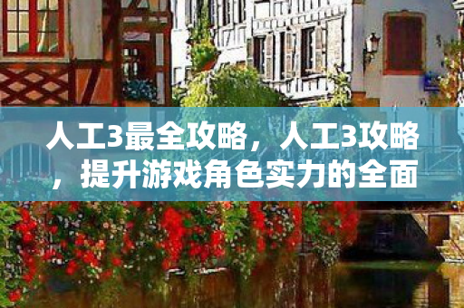 人工3最全攻略,人工3攻略,提升游戏角色实力的全面指南 人工3最全攻略,人工3攻略,提升游戏角色实力的全面指南