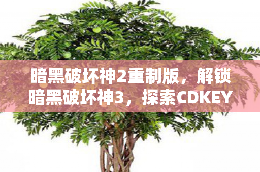 暗黑破坏神2重制版,解锁暗黑破坏神3,探索CDKEY的无限可能 暗黑破坏神2重制版,解锁暗黑破坏神3,探索CDKEY的无限可能