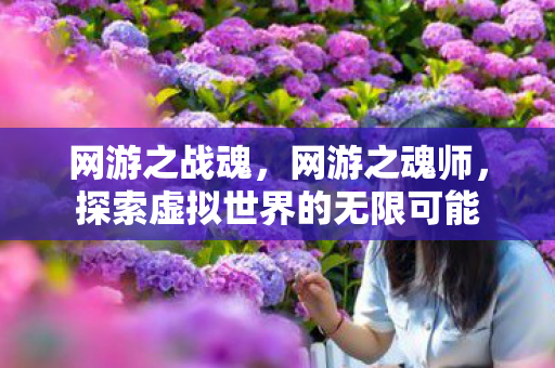 网游之战魂,网游之魂师,探索虚拟世界的无限可能 网游之战魂,网游之魂师,探索虚拟世界的无限可能