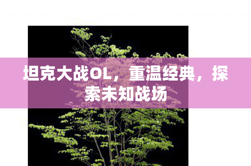 坦克大战OL,重温经典,探索未知战场 坦克大战OL,重温经典,探索未知战场