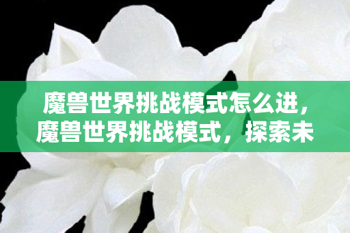 魔兽世界挑战模式怎么进,魔兽世界挑战模式,探索未知,挑战极限 魔兽世界挑战模式怎么进,魔兽世界挑战模式,探索未知,挑战极限