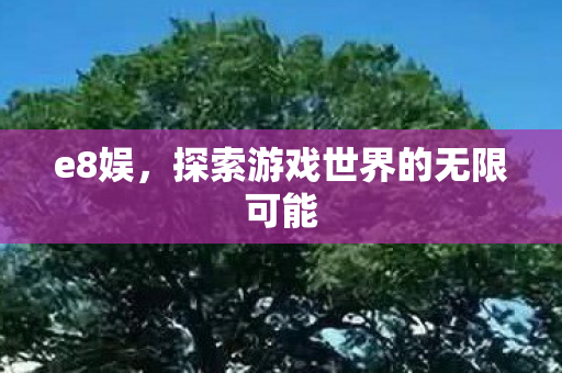 e8娱，探索游戏世界的无限可能