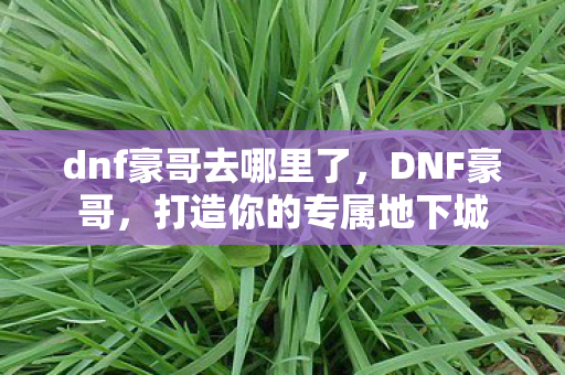 dnf豪哥去哪里了，DNF豪哥，打造你的专属地下城