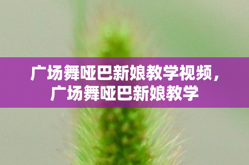 广场舞哑巴新娘教学视频,广场舞哑巴新娘教学 广场舞哑巴新娘教学视频,广场舞哑巴新娘教学