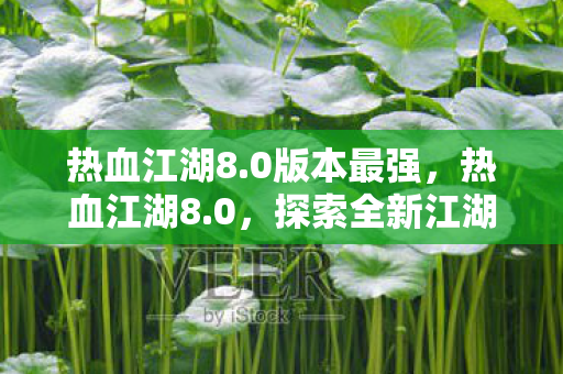 热血江湖8.0版本最强,热血江湖8.0,探索全新江湖,体验升级之旅 热血江湖8.0版本最强,热血江湖8.0,探索全新江湖,体验升级之旅